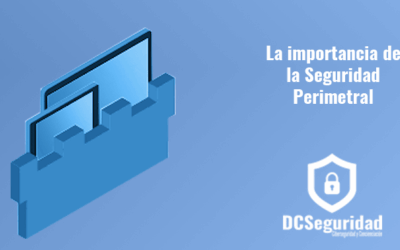 Seguridad Perimetral Informática: ¿Qué es y para qué sirve?