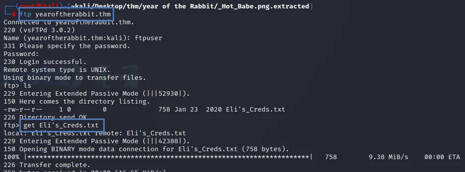 Year Of The Rabbit Try Hack Me Ftp