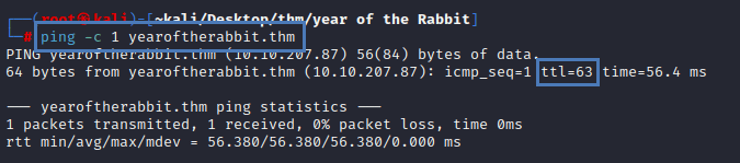 Year Of The Rabbit Try Hack Me Ping