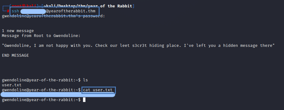 Year Of The Rabbit Try Hack Me User Flag